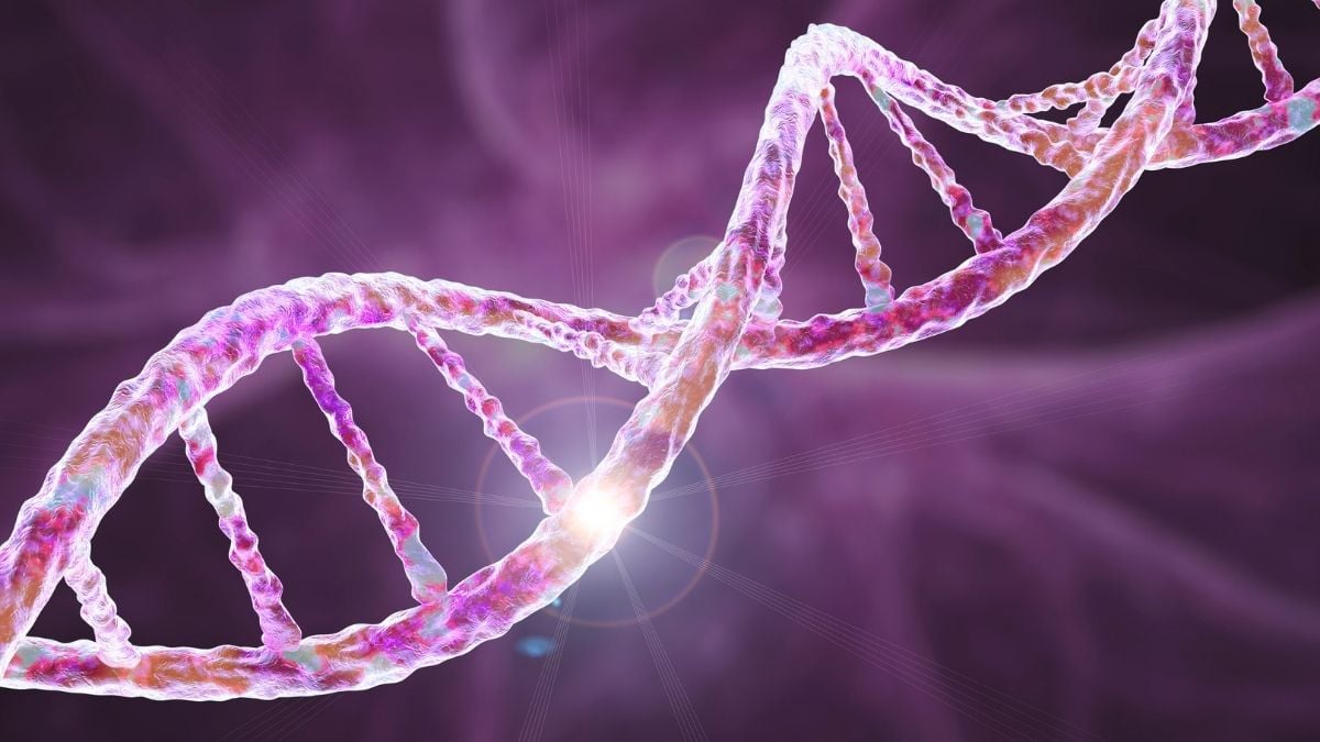 Researchers Discover Common Genetic Origins of OCD, Tourette Syndrome, and Autism