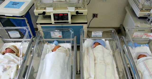 Specialist: As Many as 300,000 Babies Born to Foreign Visitors in the U.S. Over the Past Ten Years