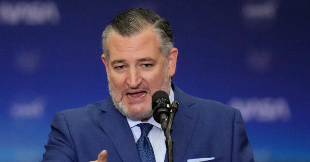 Ted Cruz Plans Campaign Against Trump for the 2028 Presidential Election