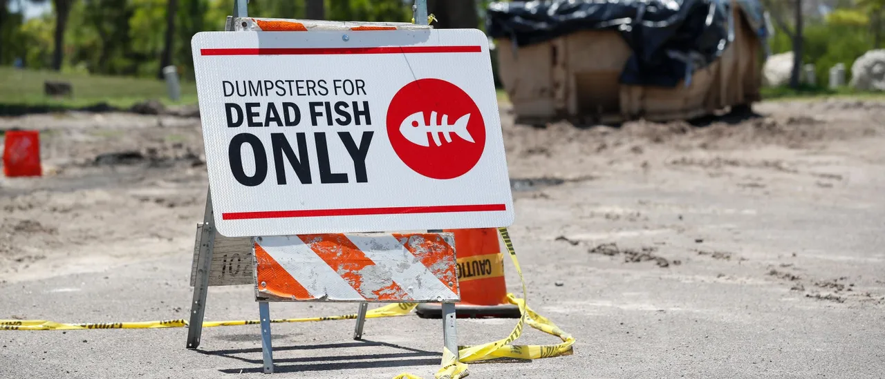 Texas Coastline on Alert After Discovery of Harmful Red Tide
