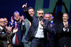 The AfD's success in Germany serves as a new caution for US Democrats regarding immigration.