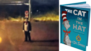 The Cat in the Hat trend leads to school threats and youth arrests in the US