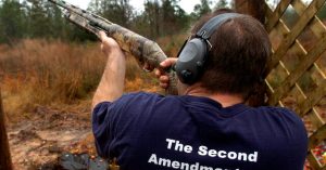 The notion that citizens should be armed to combat tyranny is a 'Popular Constitutional Idea'