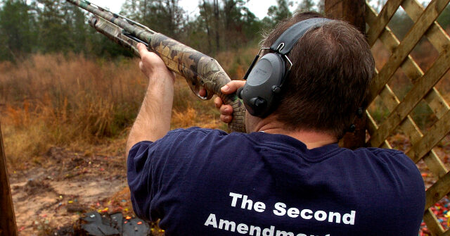The notion that citizens should be armed to combat tyranny is a 'Popular Constitutional Idea'