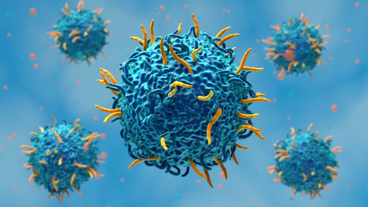 Three-Year-Old Boy's Cancer vanishes Following Experimental Immunotherapy Treatment