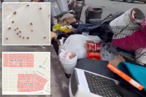 Typhus outbreaks in LA lead to hospitalizations of 6 as flea-related infection reemerges