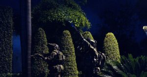 U.S. Soldiers and Ecuadoran Police Dismantle Cartel Jalisco Operation in South America