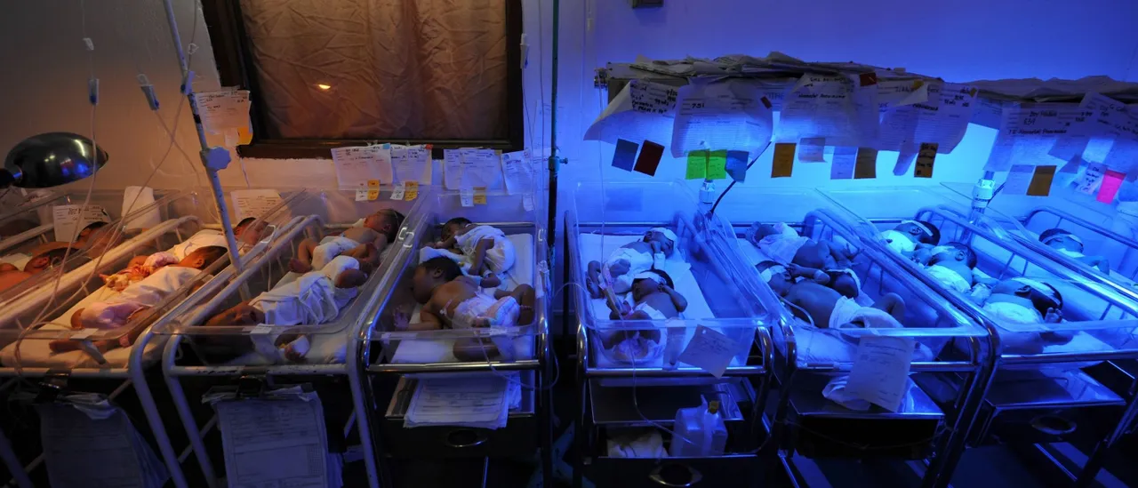 Veteran Linked to GOP Think Tank Reportedly Operates US Surrogacy Business for Chinese Billionaires