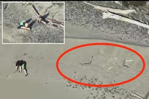 Visitors stuck on Oregon beach while attempting to take a striking picture