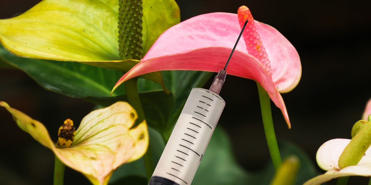 What Occurs When Your Partner Receives Penis Filler?