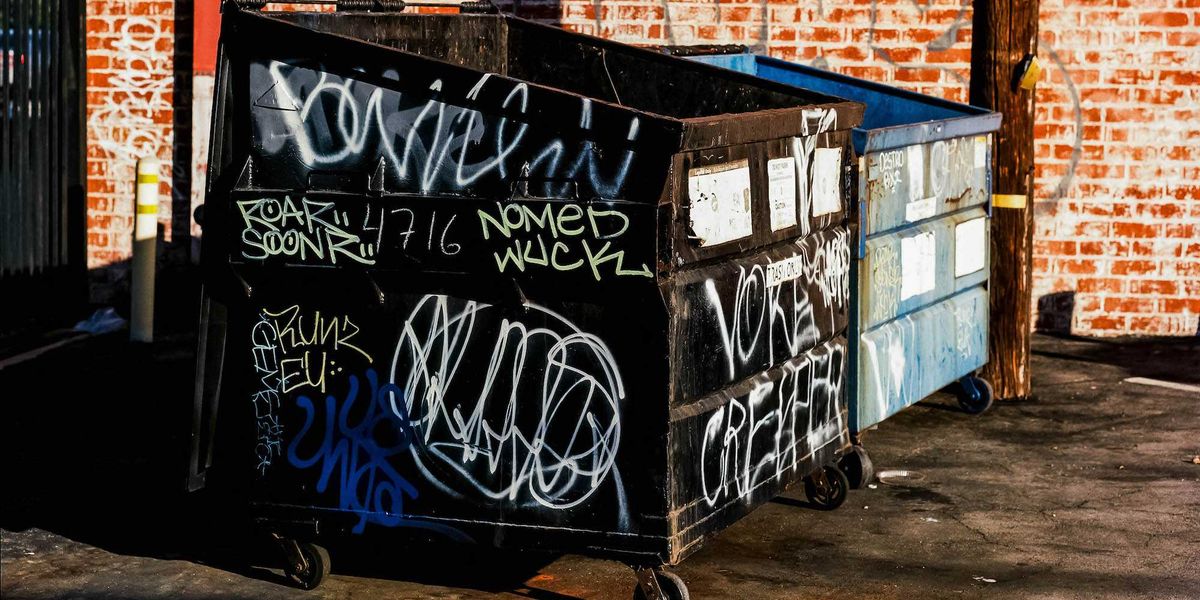 Woman dials 911 after finding a heartbreaking and shocking sight in a dumpster in Los Angeles