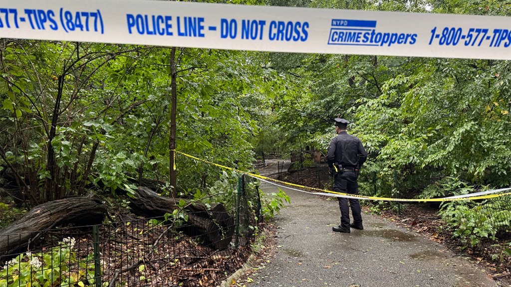 Woman discovered deceased in Central Park as police work quickly to uncover the truth