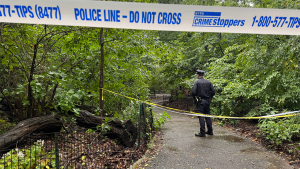 Woman discovered deceased in Central Park as police work quickly to uncover the truth
