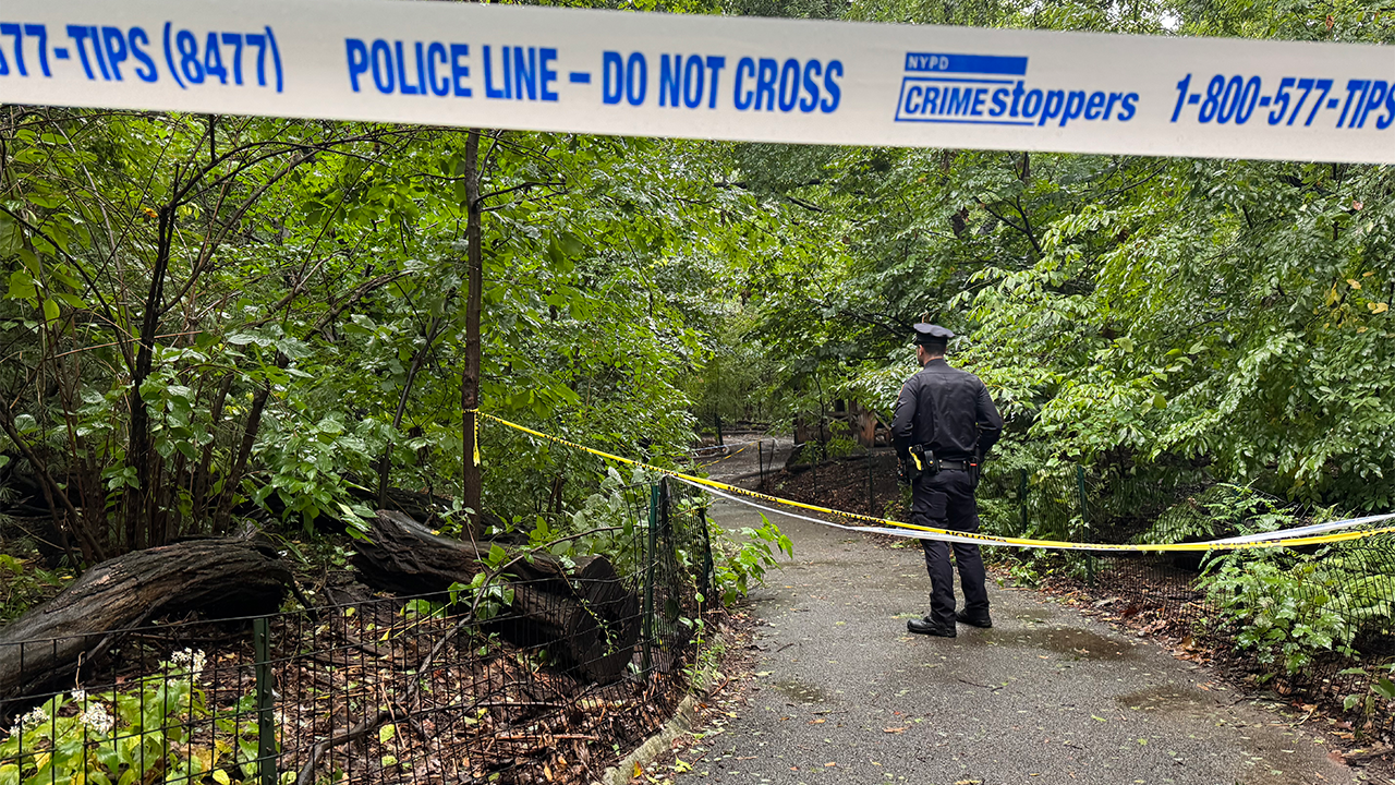 Woman discovered deceased in Central Park as police work quickly to uncover the truth