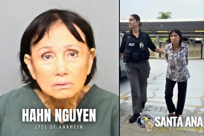 75-year-old woman arrested after home security cameras show her luring and deliberately running over a puppy