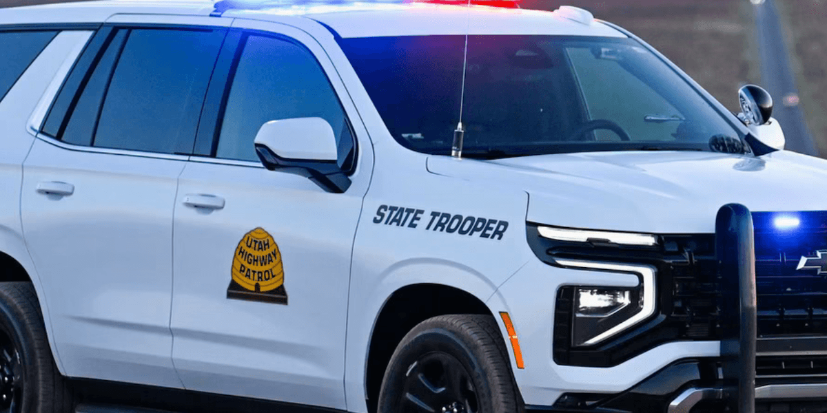A 44-year-old woman used her phone to access a porn site just moments before a fatal highway accident, according to officials.