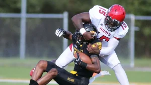 A college football field appeared so disappointing last weekend that the athletic director had to apologize.