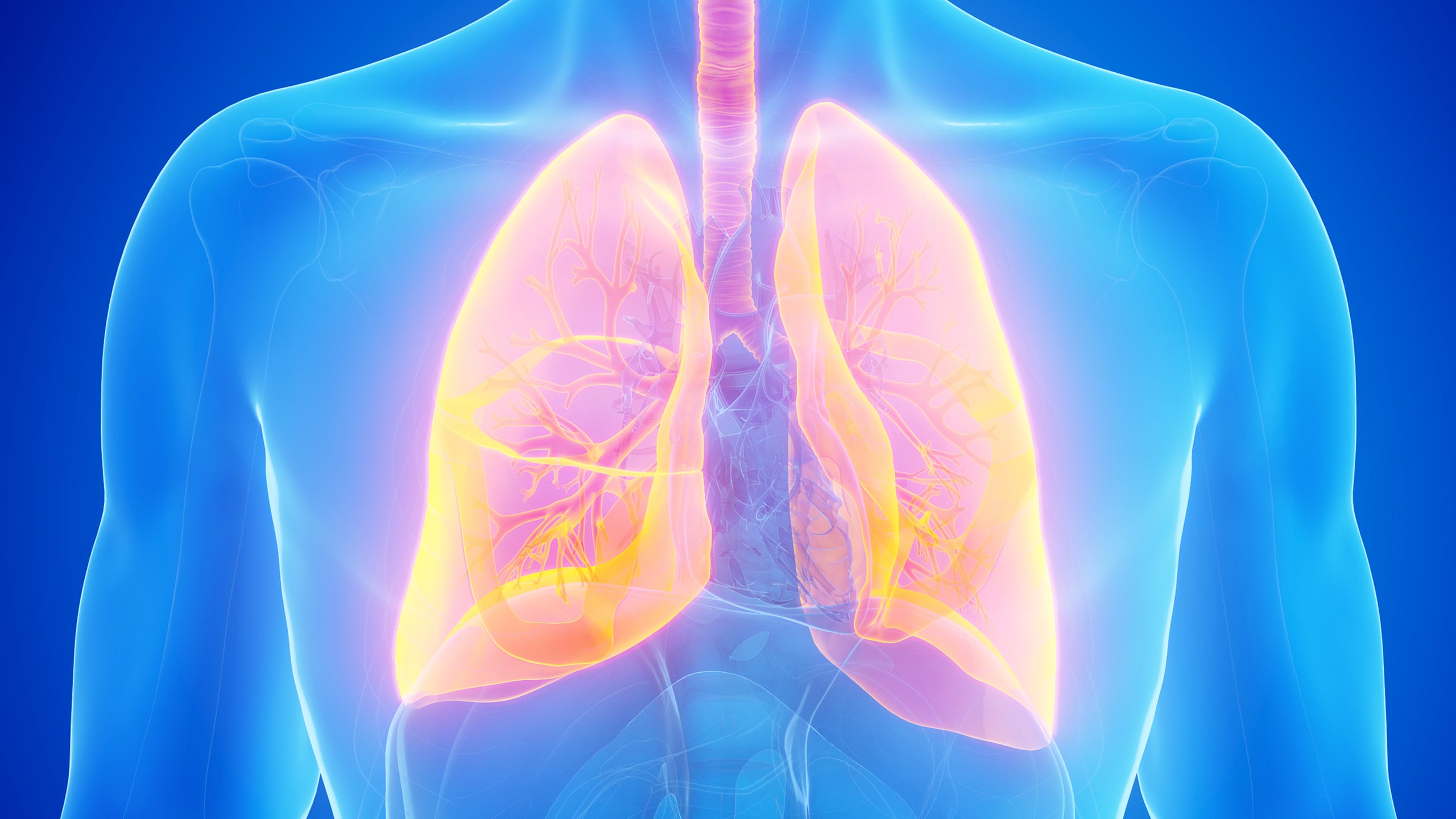 A Neglected Immune Cell Eliminated the Most Dangerous Type of Lung Cancer in Laboratory Experiments
