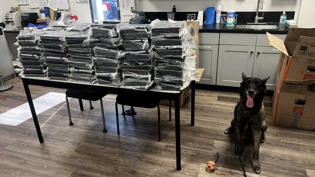 Alhambra police dog discovers about 440 pounds of cocaine during a traffic stop
