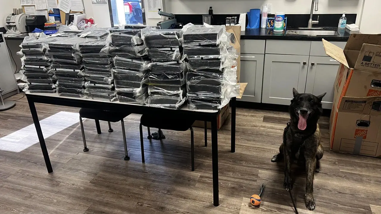 Alhambra police dog discovers about 440 pounds of cocaine during a traffic stop