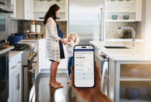 Amex introduces HYSA deposits as a redemption option for two cards