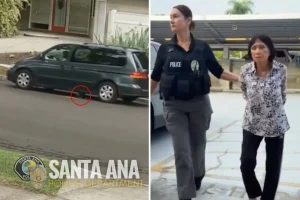 Anaheim woman taken into custody after puppy deliberately struck in Santa Ana