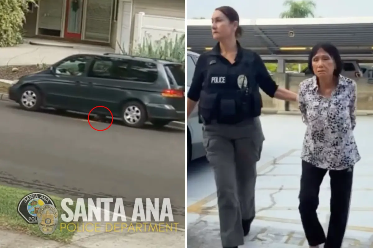 Anaheim woman taken into custody after puppy deliberately struck in Santa Ana