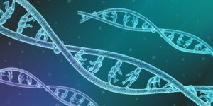 Biotechnology offers the possibility of ideal children. The family's future is uncertain.