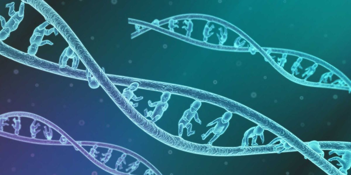 Biotechnology offers the possibility of ideal children. The family's future is uncertain.