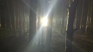 Boys in Kentucky hear noises in the woods at night before one spots Bigfoot with a flashlight.