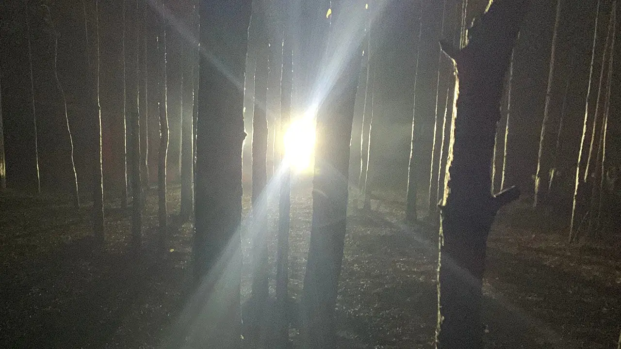 Boys in Kentucky hear noises in the woods at night before one spots Bigfoot with a flashlight.