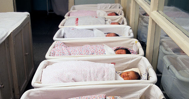 Brandon Gill: Investigations into Birth Tourism Will Stop if Democrats Take Over the House