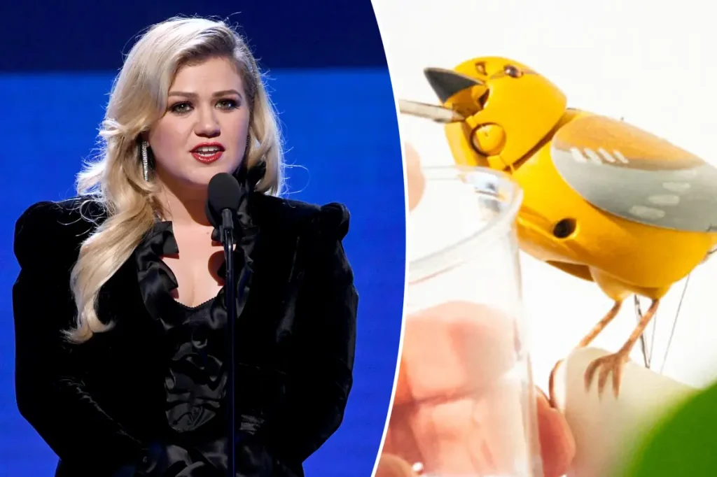 Brooklyn shop Art of Play clarifies viral 'misunderstanding' with Kelly Clarkson