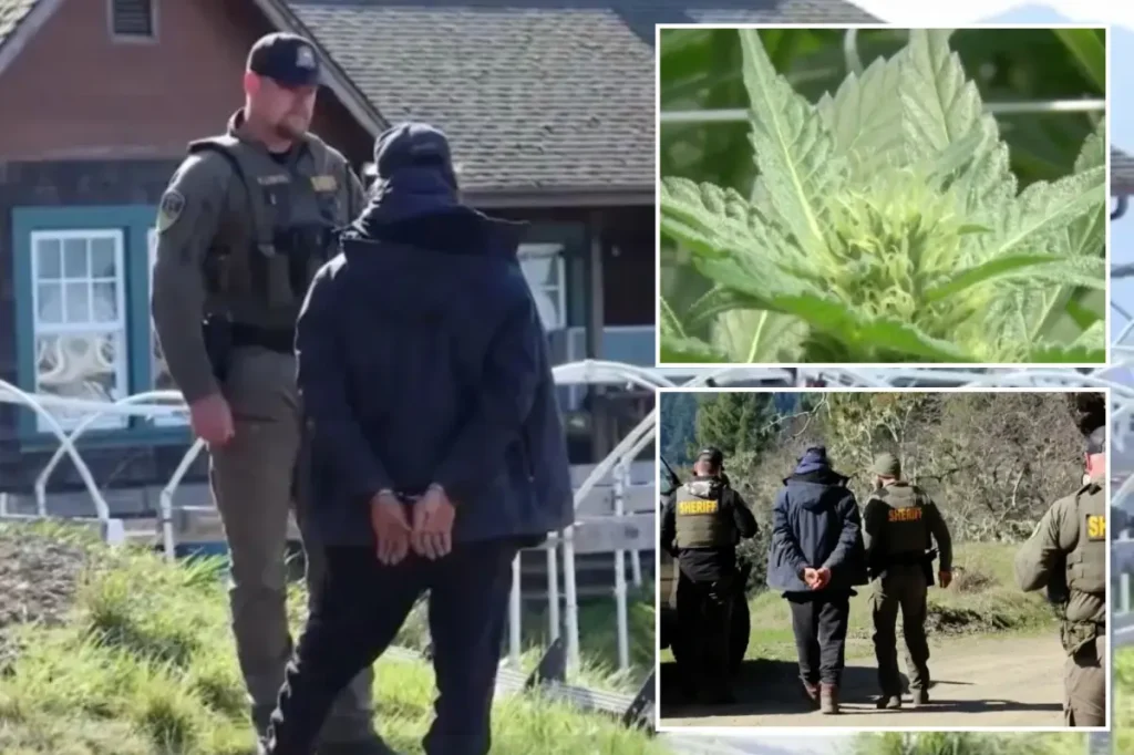 California cannabis farm owner sentenced for confining migrant workers and taking their pay.