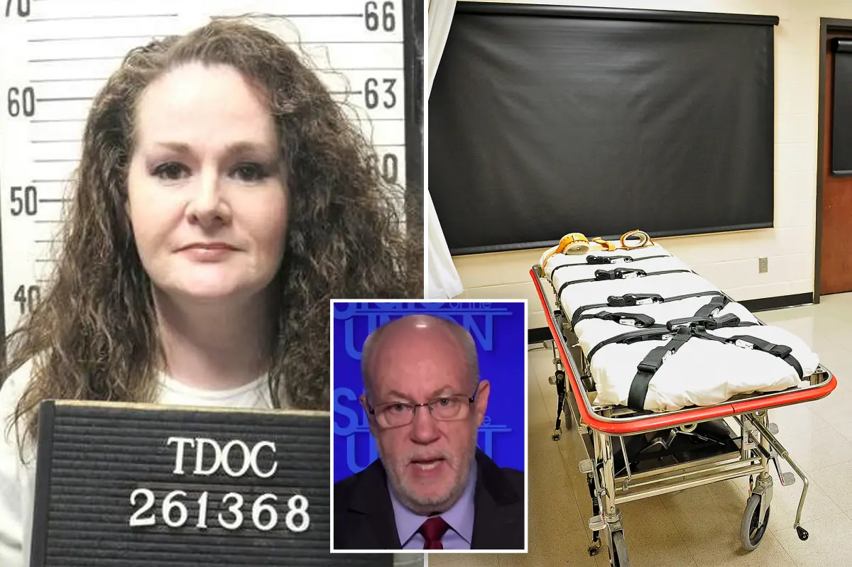 Christa Pike's attorney urges cancellation of death row sentence following a 'painful' botched execution