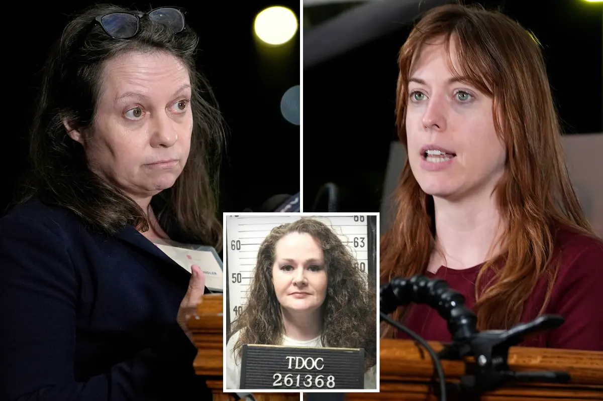 Christa Pike's inquiry following the unsuccessful execution: witnesses