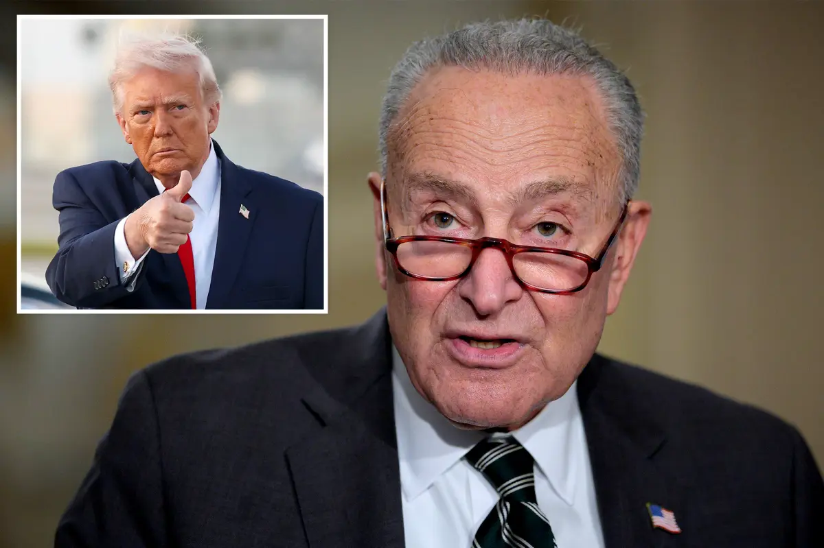 Chuck Schumer states he will not step down as Democratic Senate leader after the midterms, cautions that the GOP might "steal the election."