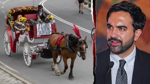 Council in New York City plans to prohibit horse-drawn carriages in Central Park by 2028