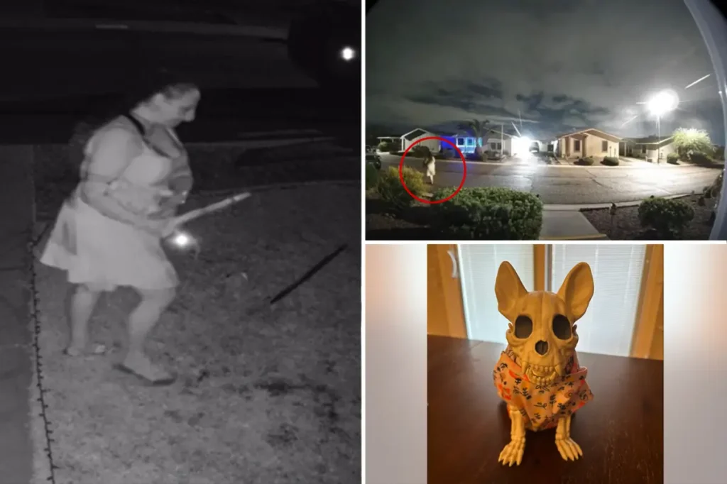 Creepy thief filmed taking Halloween decorations from a family's yard, according to reports