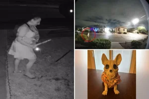 Creepy thief filmed taking Halloween decorations from a family's yard, according to reports