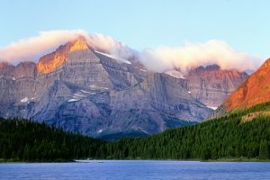 Dangerous fungus appears at Glacier National Park for the first time