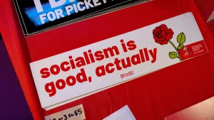Democratic Socialists of America support 65 hopefuls for state legislature positions