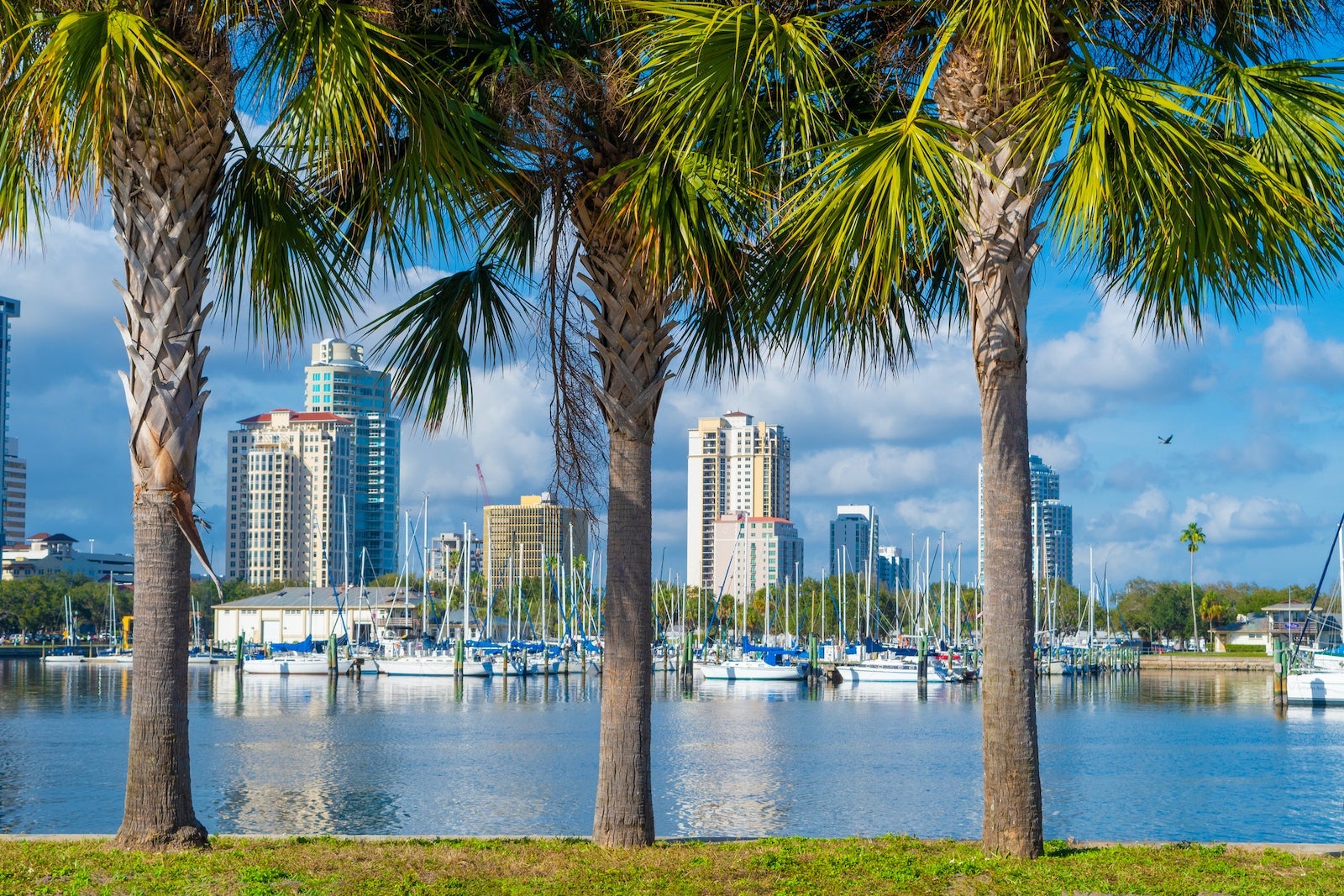 Dengue fever surge in Florida: Important information to understand
