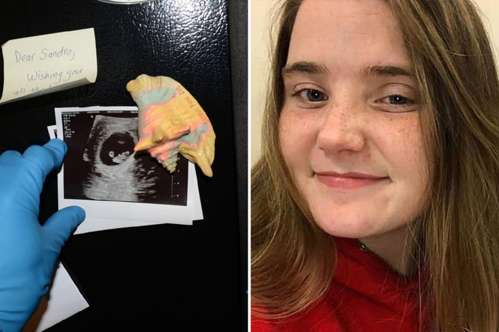 Disturbing images reveal pregnant Sandra Birchmore's ultrasound prior to her reported death.