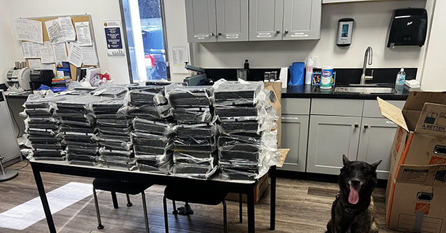 Dog in a Los Angeles Suburb Detects 440 Pounds of Cocaine
