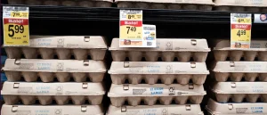 Egg Price Fixing Shouldn&rsquo;t Be Treated as Simply a Business Expense