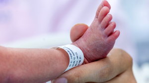 Expert labels state as unregulated for surrogacy following couple's abuse charges