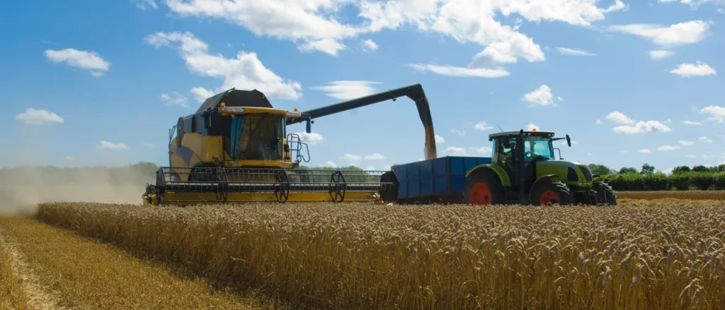 Farmers Face Hardships as Energy Costs Drain Their Finances