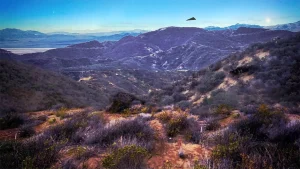 FBI agents observe a quiet black triangular unidentified aerial phenomenon, newly released documents show