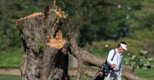 Federal Judge Scolds Trump Officials After 529 Trees Were Removed at D.C. Golf Course: &lsquo;You Did Your Absolute Worst&rsquo;